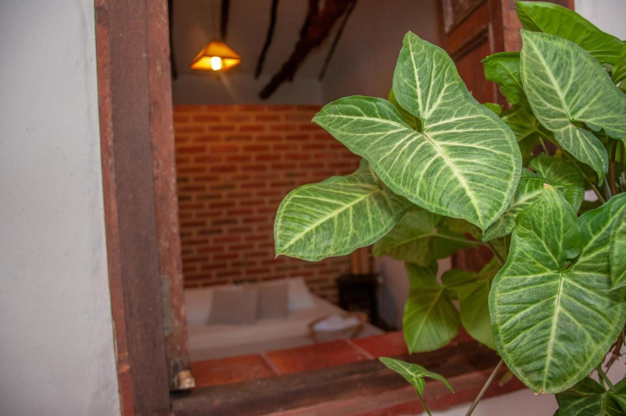 La Juanita Hostel บาริชารา ภายนอก รูปภาพ